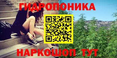 марихуана Будённовск