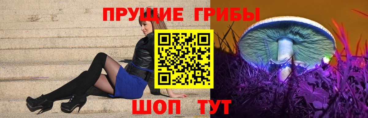 Галлюциногенные грибы мицелий Отрадное