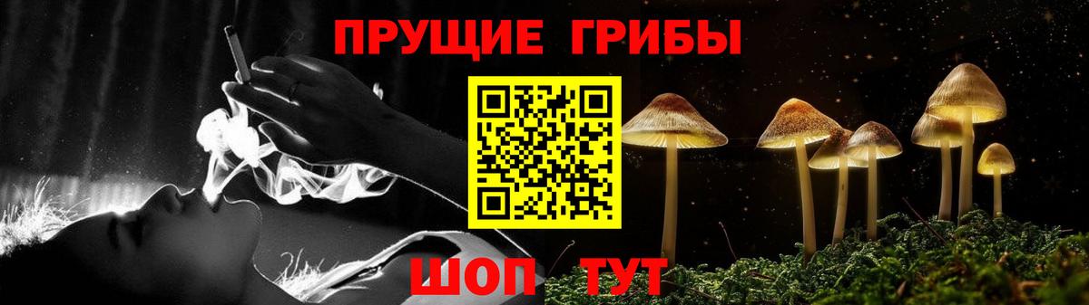 Галлюциногенные грибы Psilocybe  Вход с VPN  Псилоцибиновые грибы мухоморы  Отрадное 